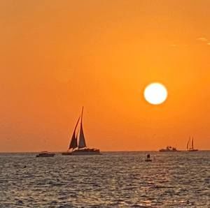 Meet your Posher, Patti